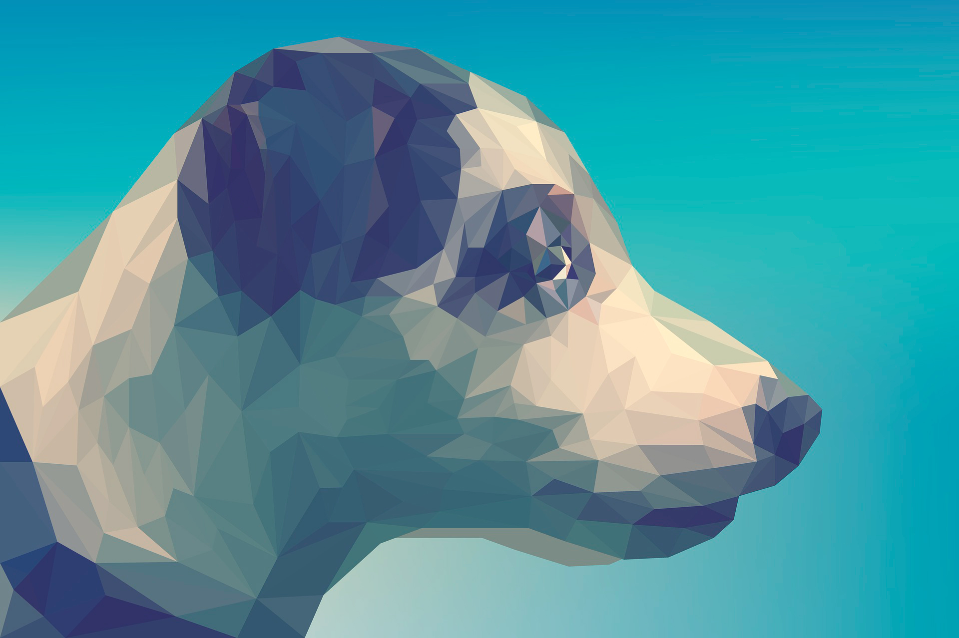 Spectacular designs of animals in polygonal style - Reco